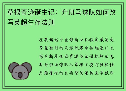 草根奇迹诞生记：升班马球队如何改写英超生存法则