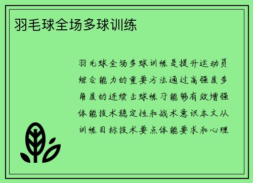 羽毛球全场多球训练